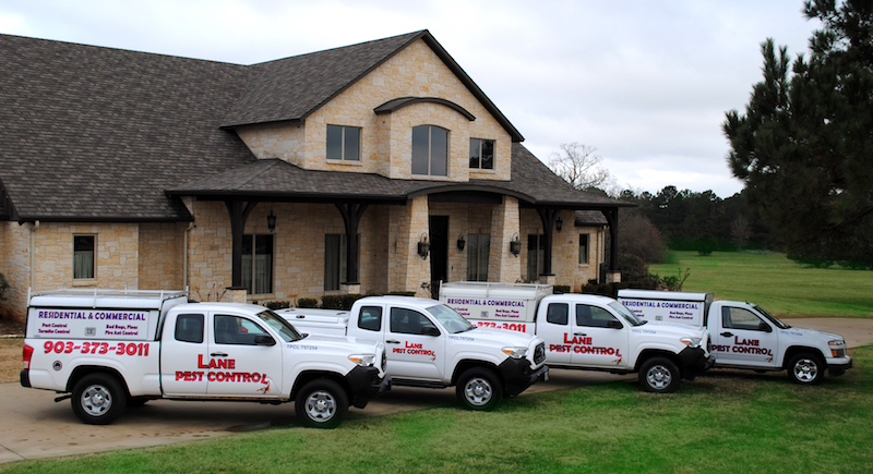 Pest Control Tyler Tx  Exterminator Tyler Tx - Pest Control Tyler Tx