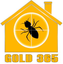 Gold 365 Pest Control Package