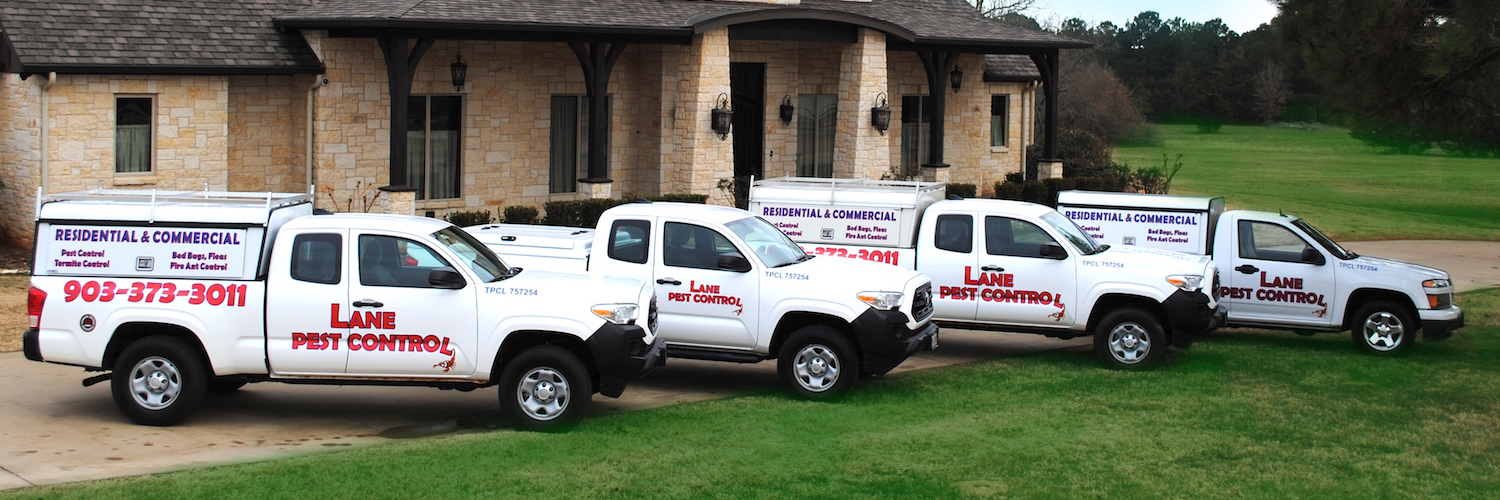 Pest Control Tyler Tx  Exterminator Tyler Tx - Pest Control Tyler Tx